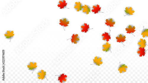 September Vector Background with Golden Falling Leaves. Autumn Illustration with Maple Red, Orange, Yellow Foliage. Isolated Leaf on Transparent Background. Bright Swirl. Suitable for Posters.