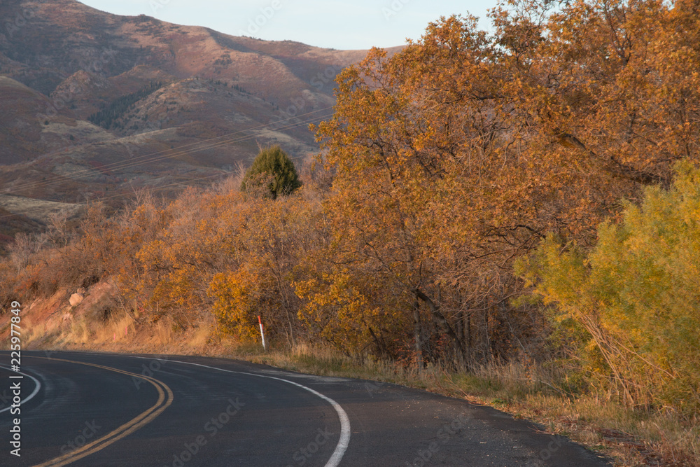 road in autumn road in autumn