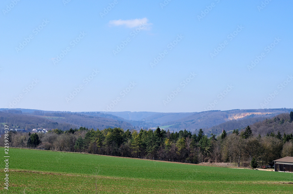 landscape in swabian alb with mixed forest