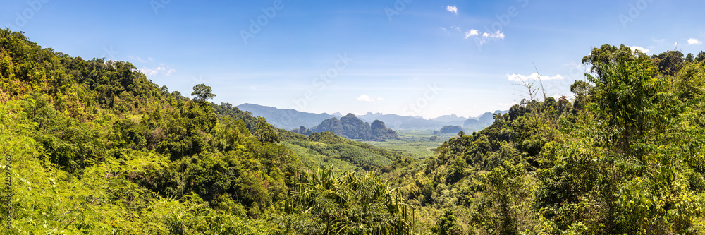 Tropical rainforest in Thailand
