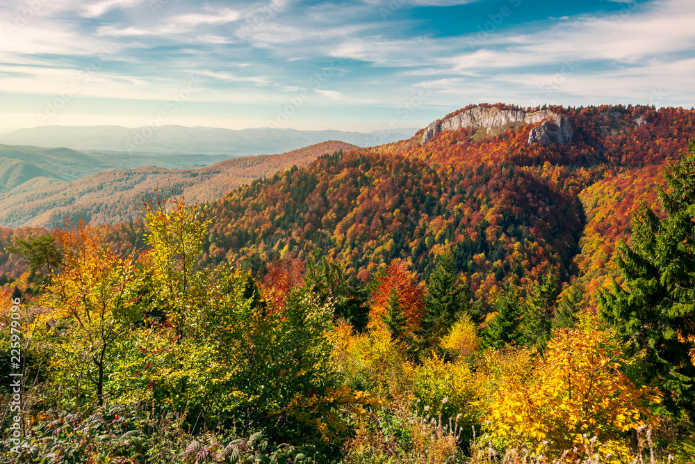 beautiful landscape in mountains of Romania. cliff above the forest in fall color. beautiful view in evening light with blue sky