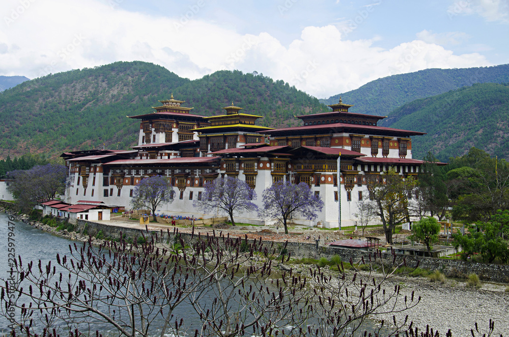 Obraz premium Pungtang Dechen Photrang Dzong or palace of great bliss. Closer View. Administrative centre. Punakha Dzong