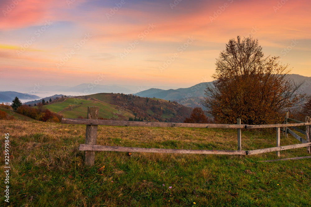 rural area in mountains at dawn. fence around the orchard on hill. beautiful autumn scenery