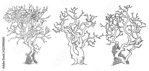 Scary old trees with twisted leaves twisted with ivy outlined for coloring page