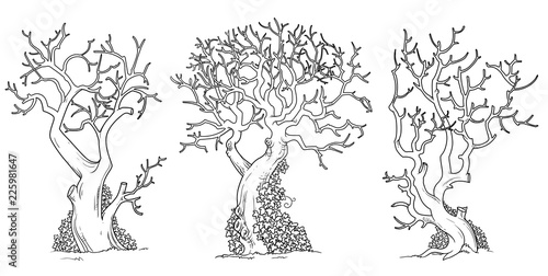 Scary trees with twisted leaves twisted with ivy outlined for coloring page