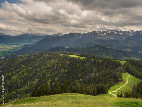 Wallpaper Mural Blomberg 06 Torontodigital.ca