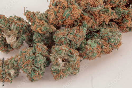 Obraz na płótnie Close up of a pile of 2 different kinds of marijuana buds mixed together with a white background. w salonie