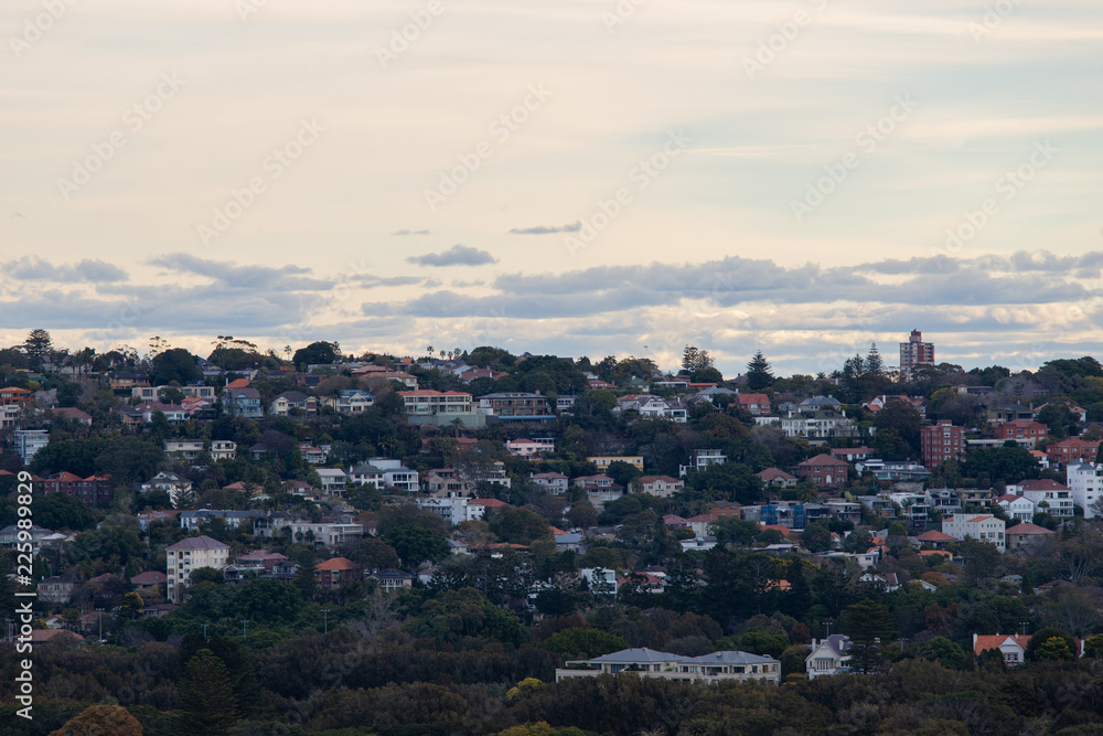 Housing around Sydney eastern suburb view in the afternoon. Housing around Sydney eastern suburb view in the afternoon.