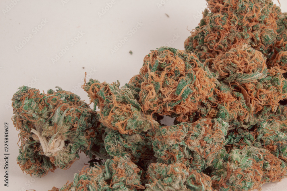 Close up of a pile of 2 different kinds of marijuana buds mixed together with a white background.