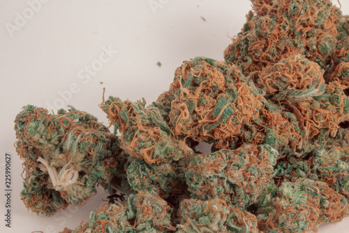 Obraz na płótnie Close up of a pile of 2 different kinds of marijuana buds mixed together with a white background. w salonie