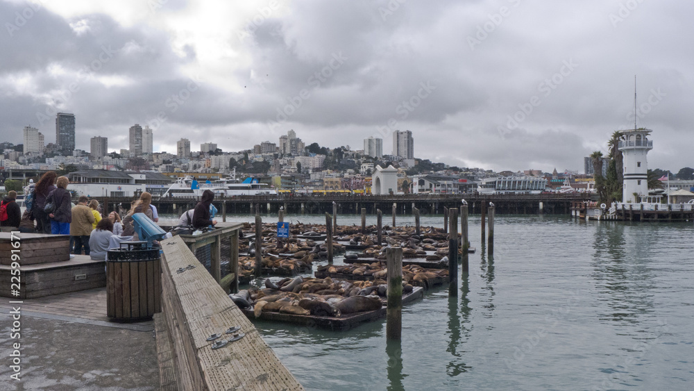 a pictures from SAn Francisco in US, where you can find the Golden Gate, Pier 39 