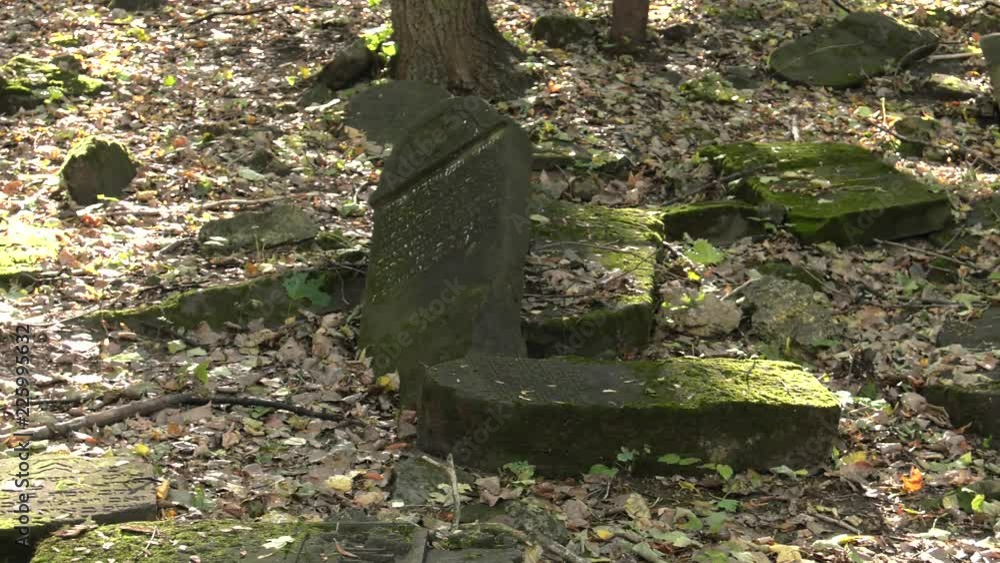Abandoned Jewish cemetery. Destroyed gravestones. Abandoned Jewish cemetery. Destroyed gravestones.
