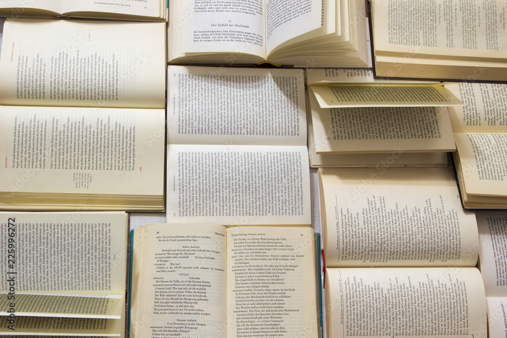 Obraz premium Literatur, Klassiker