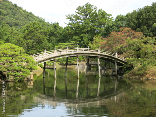 Japanese garden