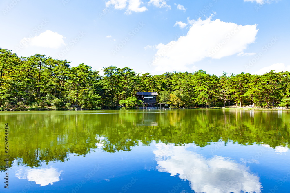 Fototapeta premium 秋晴れの再度公園、兵庫県神戸市北区六甲山にて