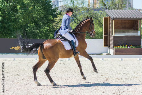 Dressage competitions