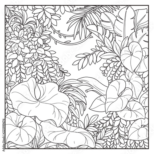 Wild jungle with lianas black contour line drawing for coloring on a white background