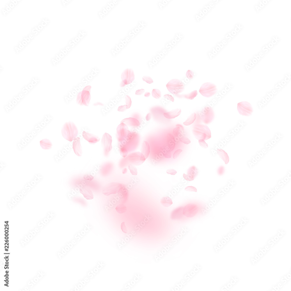 6729204 Sakura petals falling down. Romantic pink flowers explosion. Flying petals on white square backgroun
