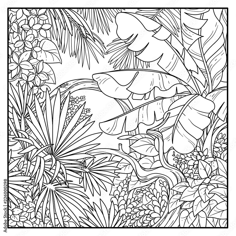 Φωτογραφία Wild jungle with big banana palm leaves black contour line drawing for coloring
