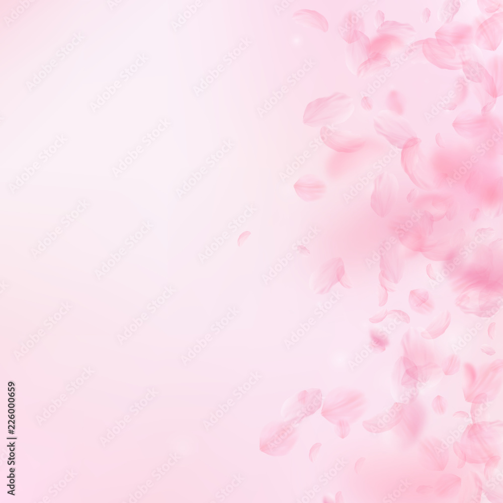 6729213 Sakura petals falling down. Romantic pink flowers gradient. Flying petals on pink square background.