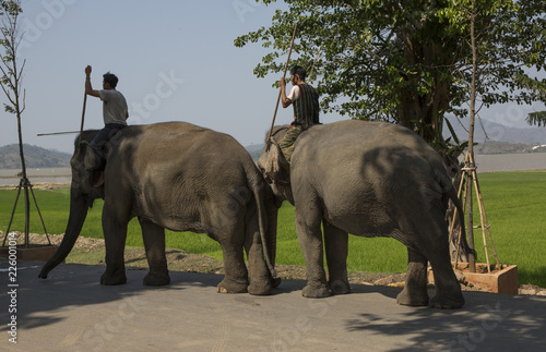 Dak Lak, Vietnam, March 11,2017: Men riding elephant in village in local festival in Dak Lak province, Vietnam