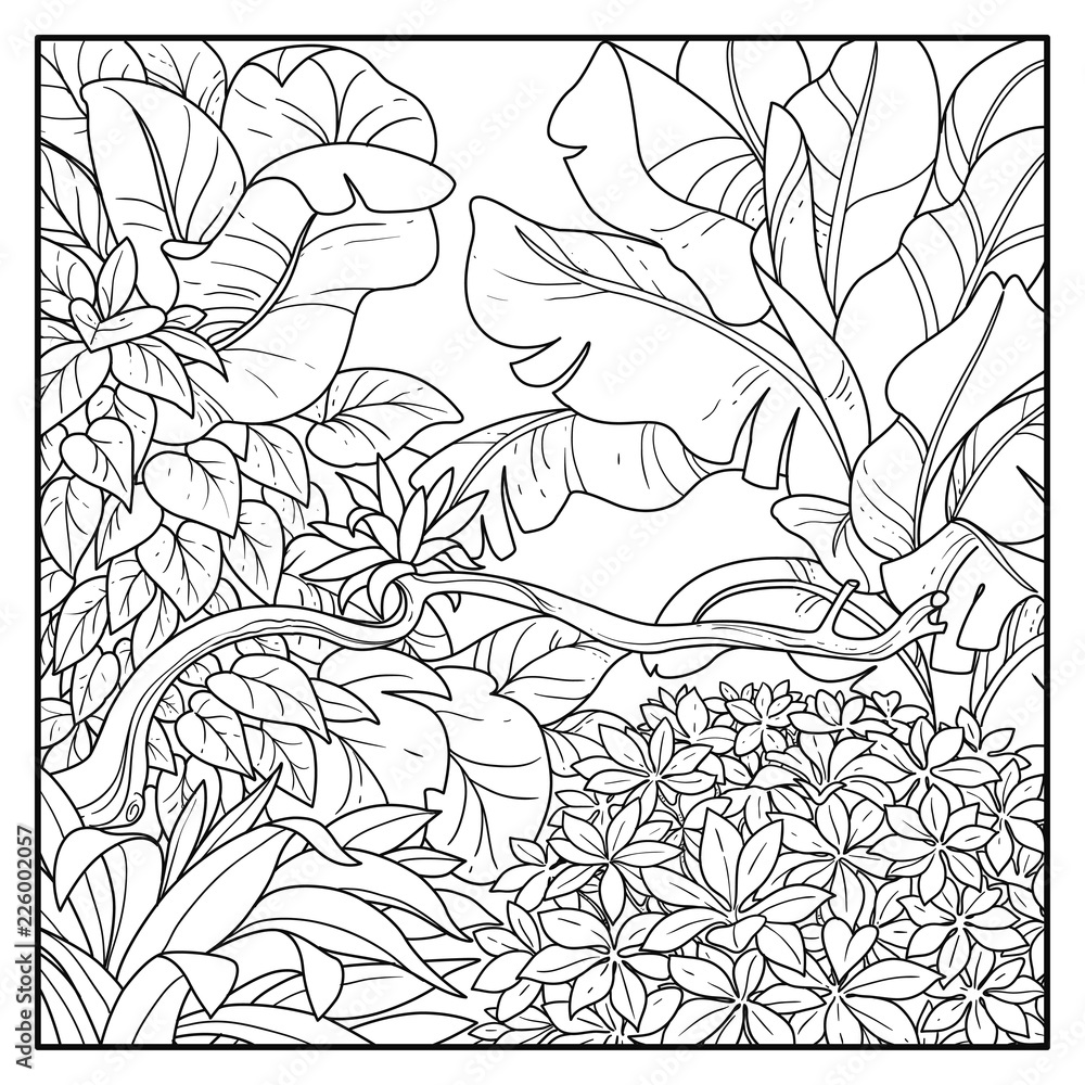 Jungle with big bush in the foreground black contour line drawing for