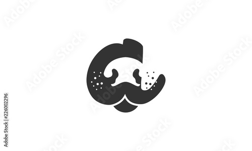 A dog snout
