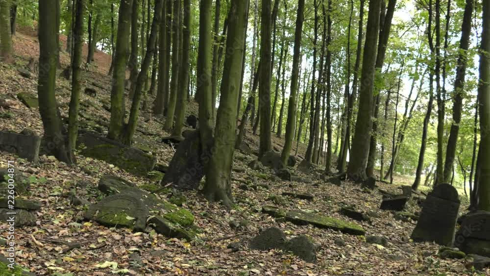 Abandoned Jewish cemetery. Destroyed gravestones. Abandoned Jewish cemetery. Destroyed gravestones.