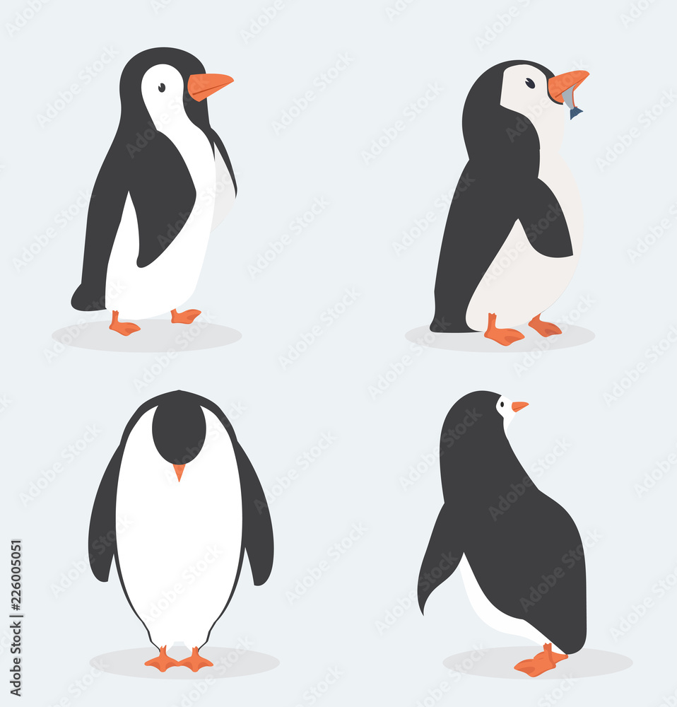Fototapeta premium Cute penguin characters in different poses set