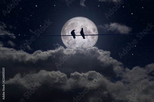 Romantic plot, Loving pigeons on a full moon background