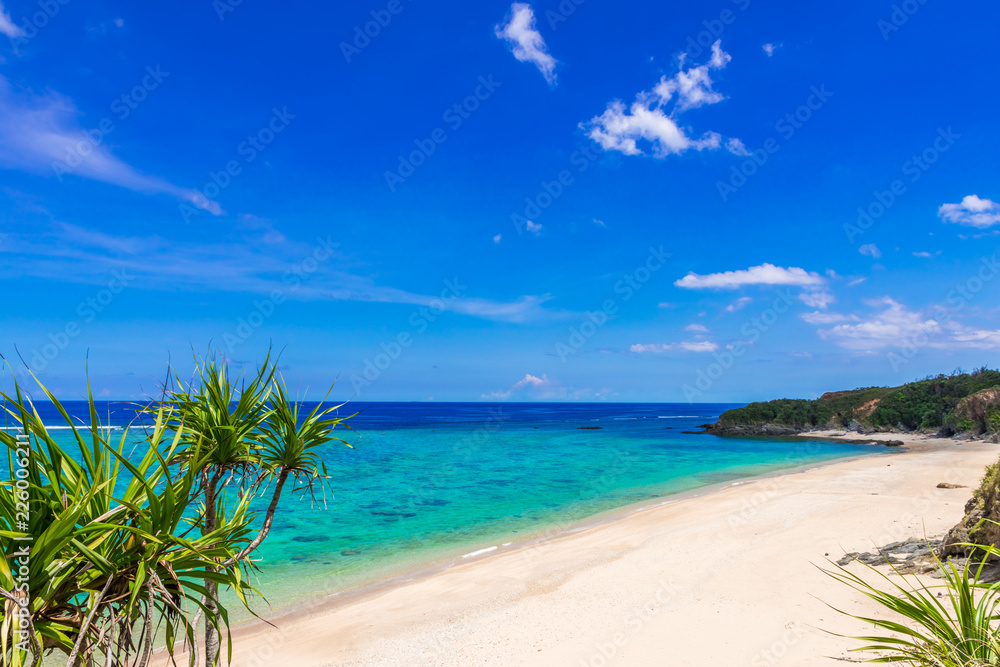 沖縄の海