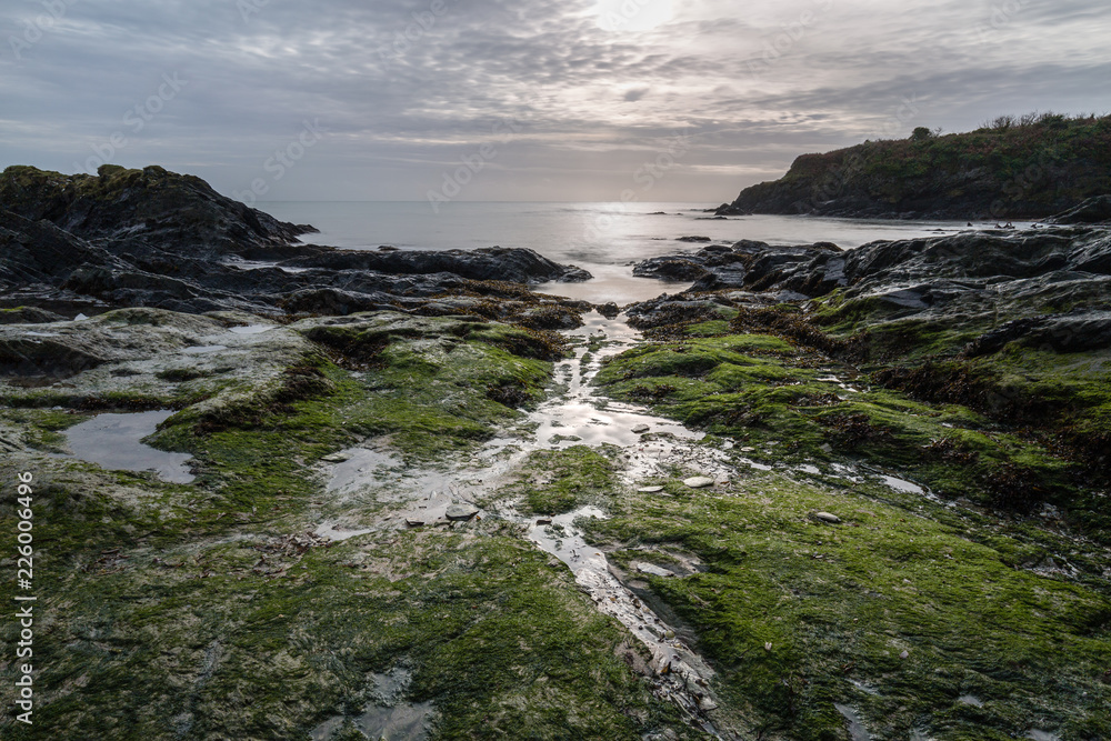 Low Tde, Poridmouth Cove, Gribbin Head, Cornwall