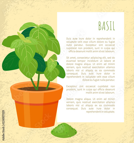 Basil Poster and Plant in Pot Vector Illustration