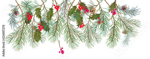 Panoramic view with pine branches hang down, cones, holly berry. Horizontal border with Christmas tree on white background. Hand draw, watercolor style, decorative botanical illustration, vector