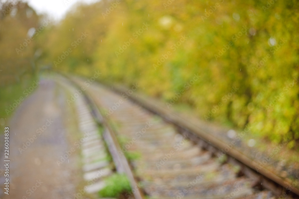 Fototapeta premium railway in the forest, blurred bokeh