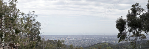 adelaide from cleland national park © susan flashman