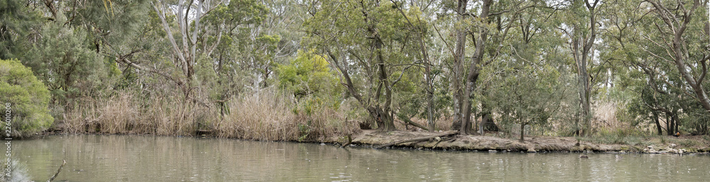 cleland national park