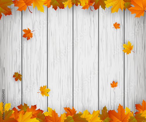 Autumn background with falling leaves. Red  yellow and orange autumn leaves. Vector