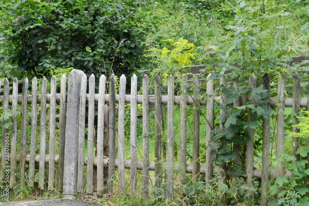 picket fence picket fence