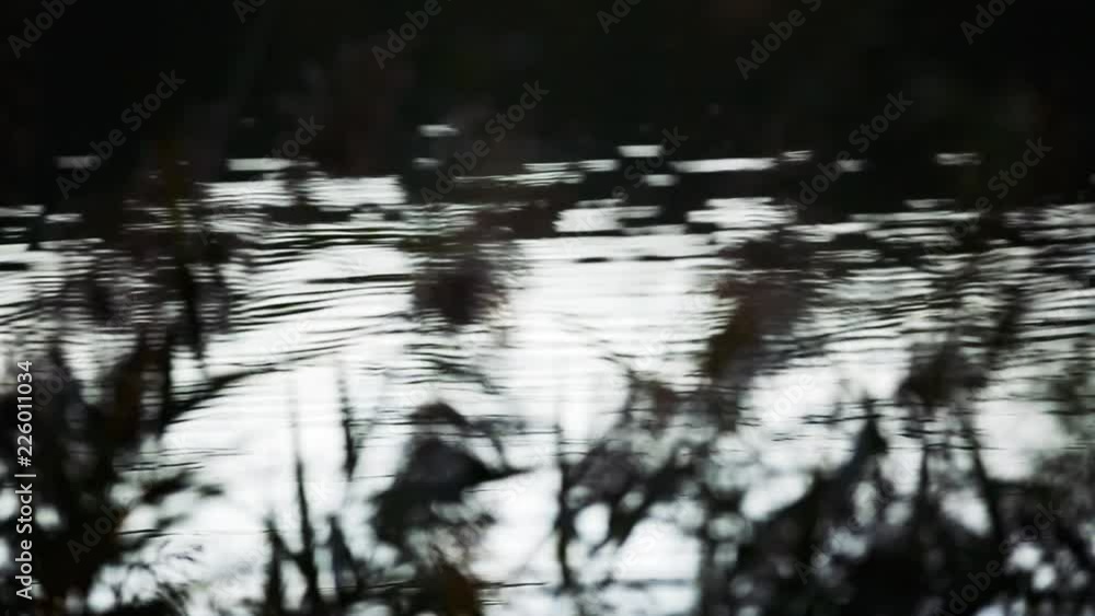 Bord de rivière au crépuscule avec flou artistique Bord de rivière au crépuscule avec flou artistique