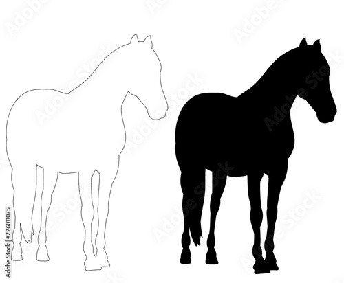 black silhouette horse running, on white background