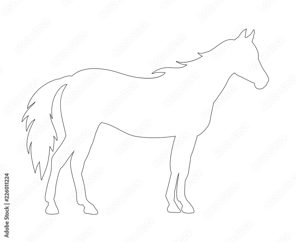 Fototapeta premium sketch just a horse is worth