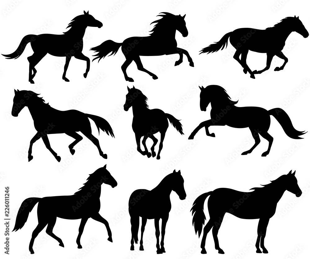 silhouette horse running, collection