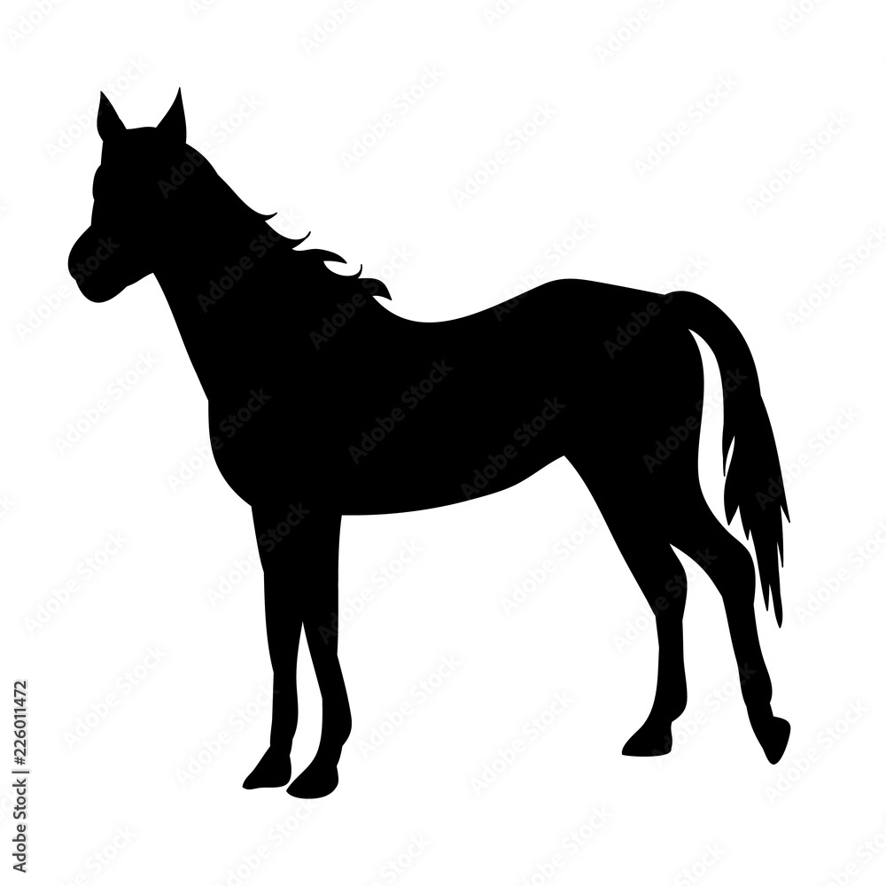 silhouette horse, on white background, icon, black
