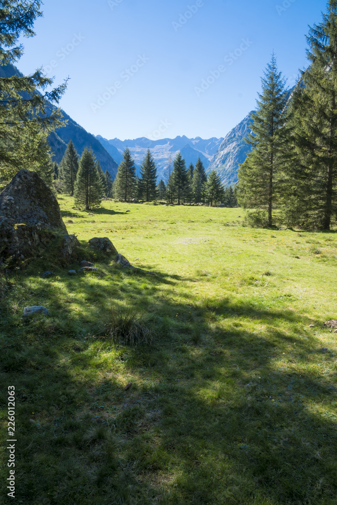 Mountain meadow in an alpine valley