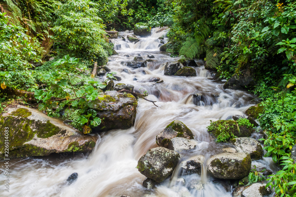 Rio Caldera river in National Park Volcan Baru during rainy season, Panama. Rio Caldera river in National Park Volcan Baru during rainy season, Panama.