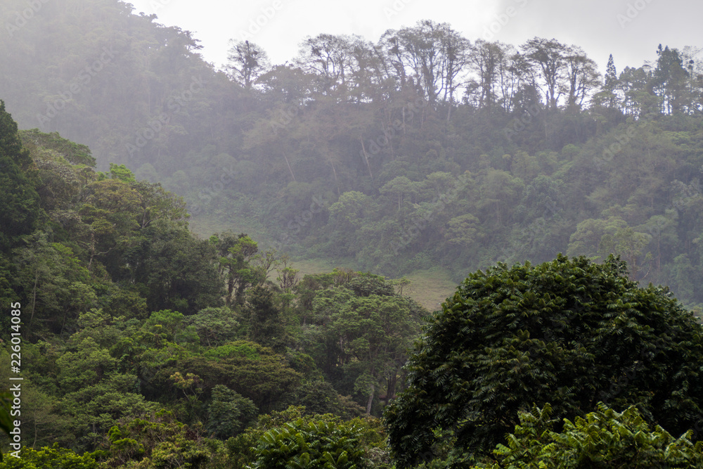 Fototapeta premium Rainy day near Boquete, Panama