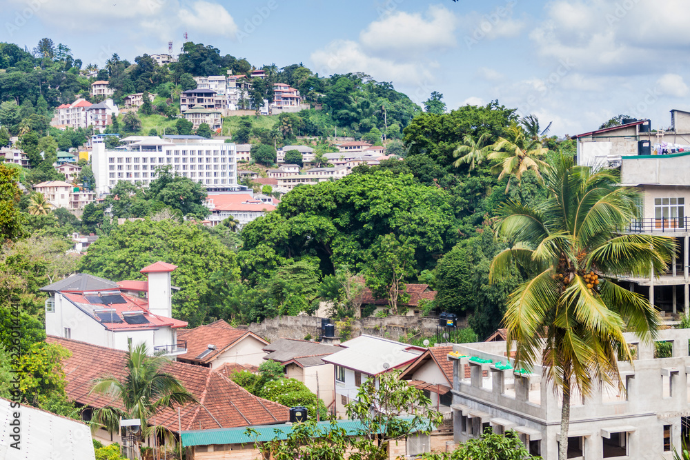 Fototapeta premium View of hills in Kandy, Sri Lanka