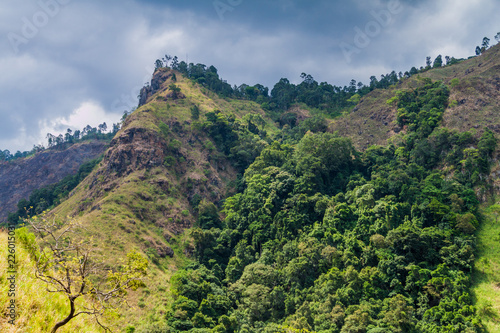 Mountains near Ella  Sri Lanka