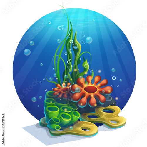 Vector illustration underwater algae